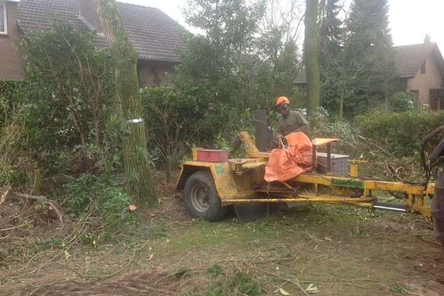 uitfrezen van eiken stronken in berkel enschot